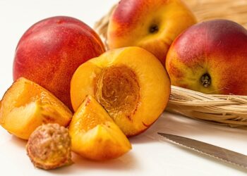 pesche-al-via-la-campagna-di-comunicazione