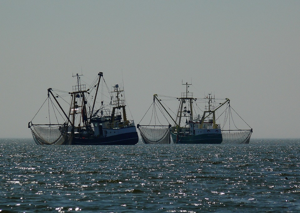 nel-mediterraneo-si-pesca-troppo-la-pronuncia-della-fao