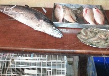 pesce-gli-italiani-ne-mangiano-sempre-di-piu