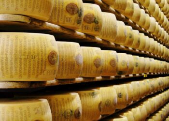parmigiano-reggiano-vola-il-piano-produttivo