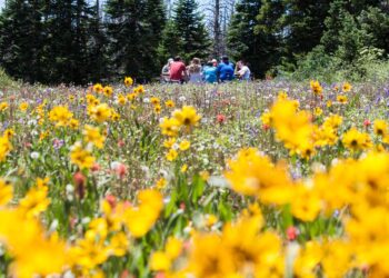 val-di-non-picnic-con-la-scienza