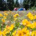 val-di-non-picnic-con-la-scienza