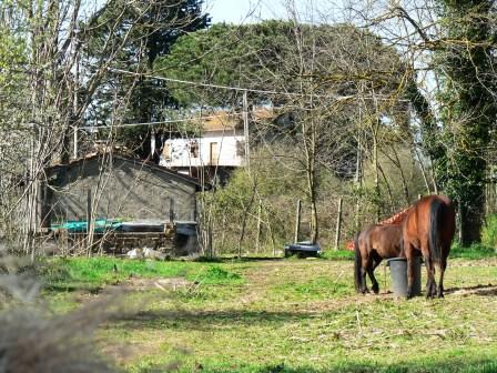 piccoli-agricoltori-arrivano-le-semplificazioni