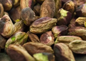pistacchio-di-bronte-nasce-il-consorzio-di-tutela