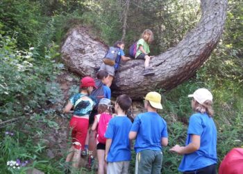 brianza-mostra-laboratorio-contro-labbandono-della-plastica