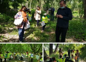 polesine-una-scuola-nel-bosco