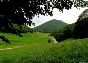 il-pollino-tra-ambiente-storia-e-tradizioni
