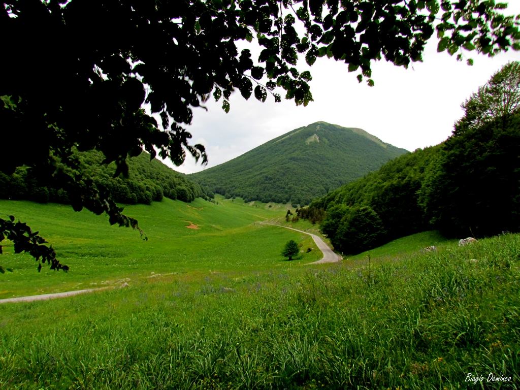il-pollino-tra-ambiente-storia-e-tradizioni
