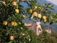 pomaria-celebra-la-val-di-non