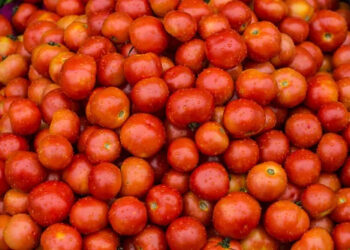 pomodoro-da-industria-arriva-laccordo-sul-prezzo
