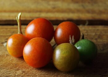 pomodoro-pachino-igp-a-rischio