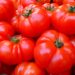 caldo-e-siccita-a-rischio-la-campagna-del-pomodoro-da-industria