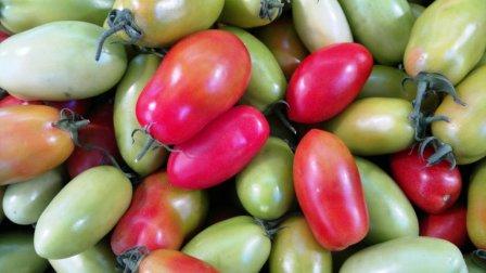 pomodoro-sempre-piu-ambasciatore-del-made-in-italy