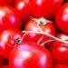 pomodoro-cala-la-produzione-in-italia