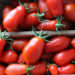 cerciello-renna-audito-alla-camera-recepito-il-suo-lavoro-per-una-legge-sul-san-marzano