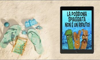 pandemia-dal-lazio-un-esempio-di-spiaggia-a-prova-di-covid