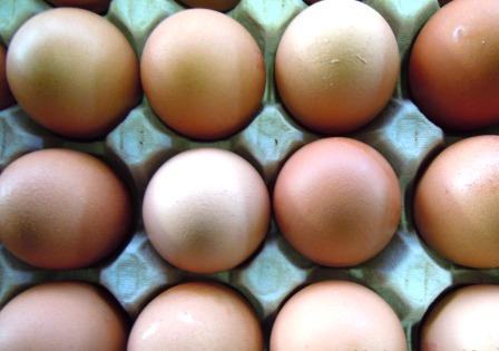 Prezzi prodotti agricoli: un calo irrefrenabile