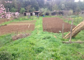 il-prezzo-della-terra-continua-a-calare