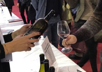 il-primitivo-di-manduria-sorprende-gli-operatori-internazionali