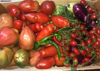 consumi-nel-2021-calano-frutta-e-verdura