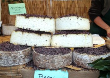 agroalimentare-sempre-piu-strategico-per-litalia