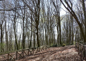 climate-change-i-rischi-per-lalto-adige