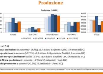 foggia-a-durum-days-si-parla-dellaumento-della-produzione