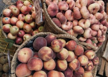 pesche-scarse-quantita-ma-ottima-qualita
