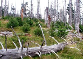 nuovi-limiti-per-la-qualita-dellaria