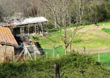 psr-lombardia-risorse-per-misure-agro-climatiche-e-biologico