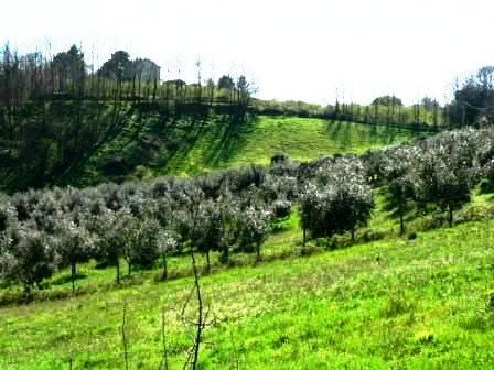 regione-lazio-presentato-il-programma-di-sviluppo-rurale