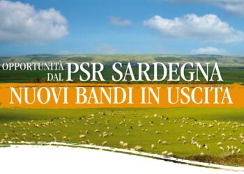 psr-sardegna-al-servizio-dello-sviluppo-rurale-dellisola