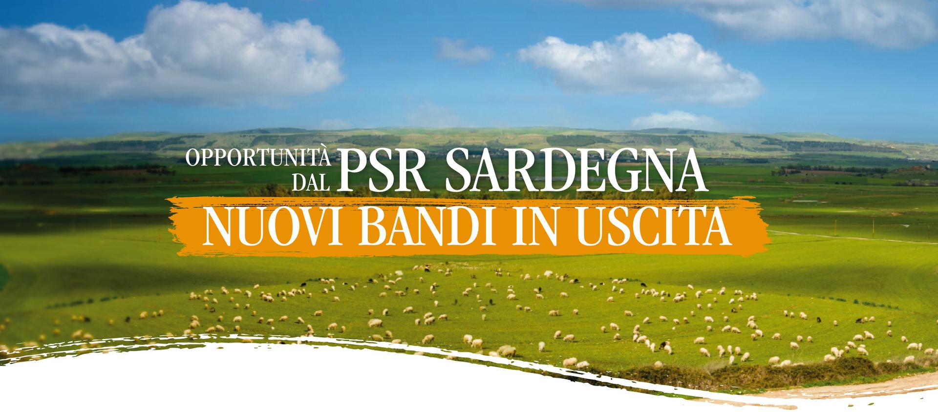 psr-sardegna-al-servizio-dello-sviluppo-rurale-dellisola