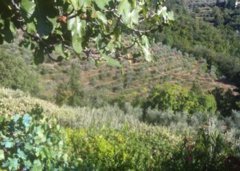 cammini-francigeni-e-montagne-irripetibili-gli-insegnanti-a-lezione-dal-club-alpino-italiano-in-puglia-e-sulle-apuane