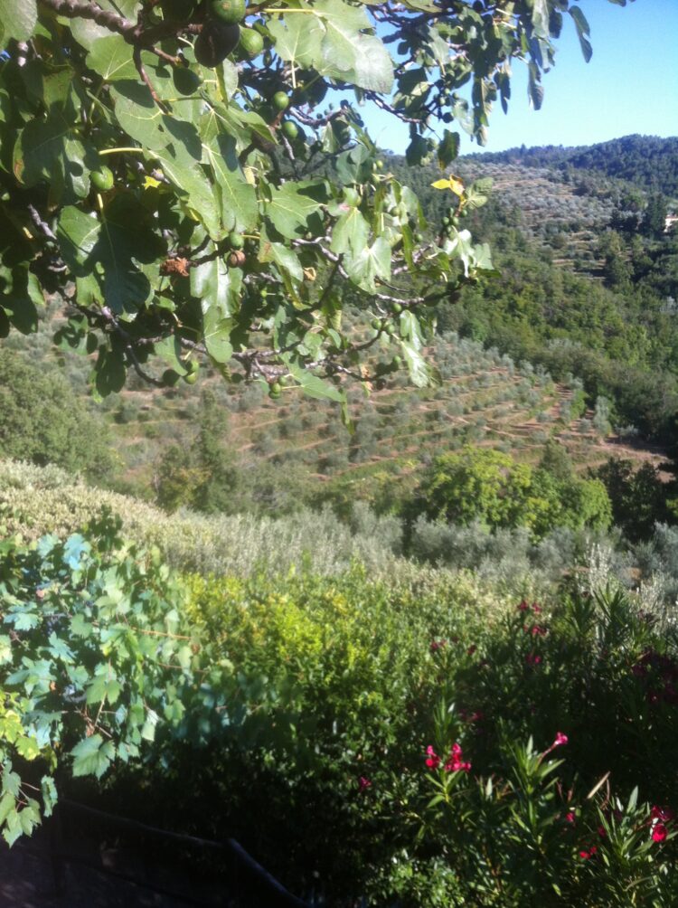cammini-francigeni-e-montagne-irripetibili-gli-insegnanti-a-lezione-dal-club-alpino-italiano-in-puglia-e-sulle-apuane