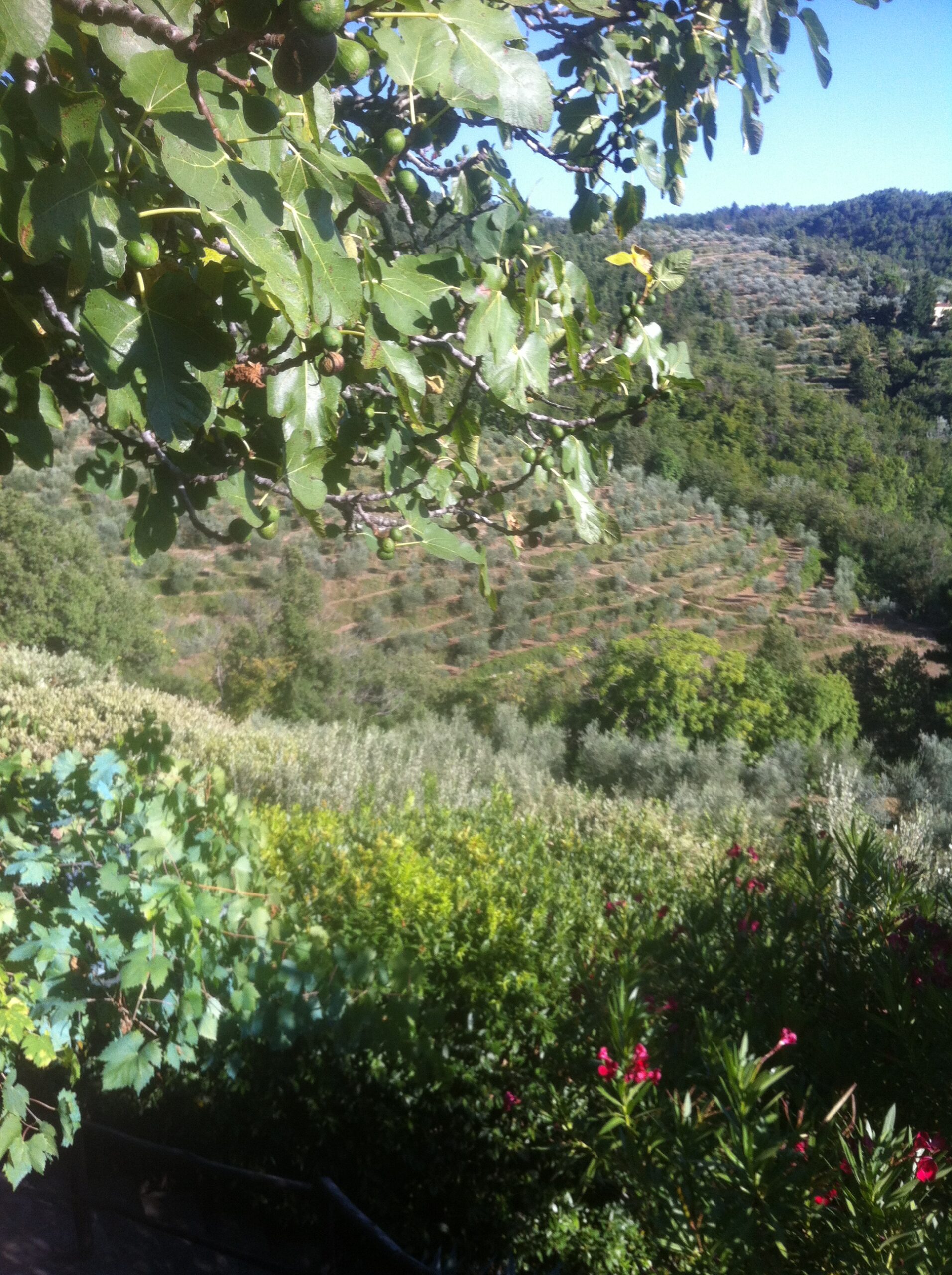 cammini-francigeni-e-montagne-irripetibili-gli-insegnanti-a-lezione-dal-club-alpino-italiano-in-puglia-e-sulle-apuane