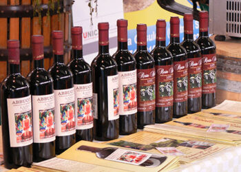 vendemmia-2015-aspettative-elevatissime-per-quantita-e-qualita