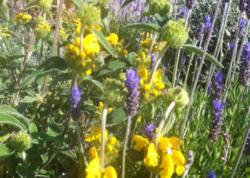 expo-in-scena-i-racconti-delle-aziende-italiane