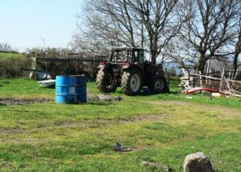 Recupero agronomico: progetto interregionale
