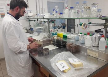 ansia-stress-e-disturbi-del-sonno-come-il-microbioma-influenza-la-nostra-salute-mentale