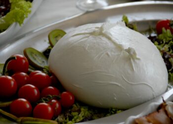 ttip-differenze-di-vedute-su-dop-e-mozzarella