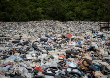 ambiente-enea-camera-commercio-roma-e-unindustria-patto-green-per-la-capitale