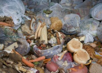 rifiuti-cresce-il-recupero-ed-il-riciclo