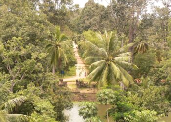 india-al-via-il-piano-di-riforestazione-nazionale