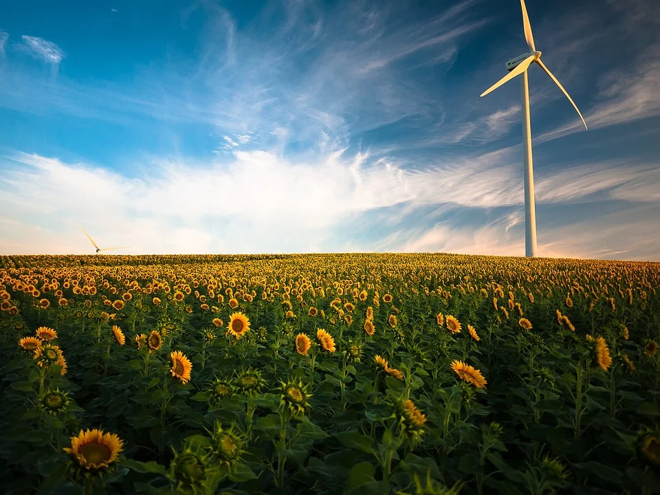 fieragricola-scomette-sulle-energie-rinnovabili