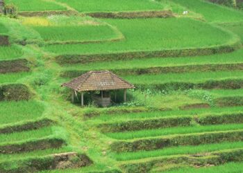 il-77-degli-italiani-consuma-cibi-fuori-casa