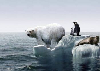 cop22-2016-anno-piu-caldo-di-sempre
