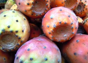 a-siracusa-loscar-della-frutta