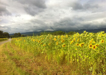 rispetto-dellambiente-a-torino-iniziativa-nelle-scuole