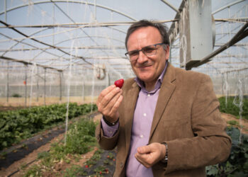 il-miglior-welfare-aziendale-e-in-sicilia